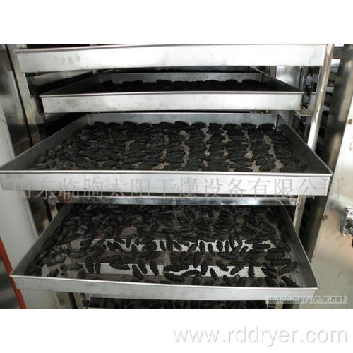 CT-C Hot Air Oven-Polyurethane Drying Oven